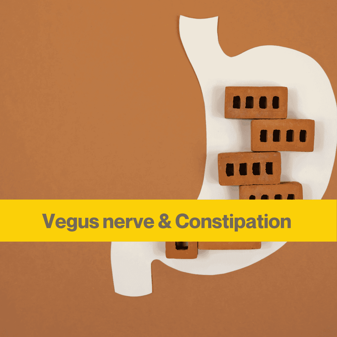 brown background, white paper cut out of a stomach shape with an image of bricks stacked on top of each other