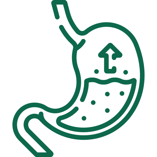 Personalized Diet icon